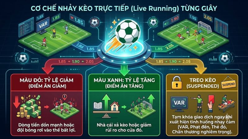 Bảng nhảy kèo rung trực tiếp theo thời gian thực trên 7m
